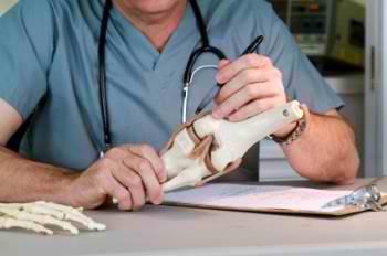 Orthopaedic Surgeons